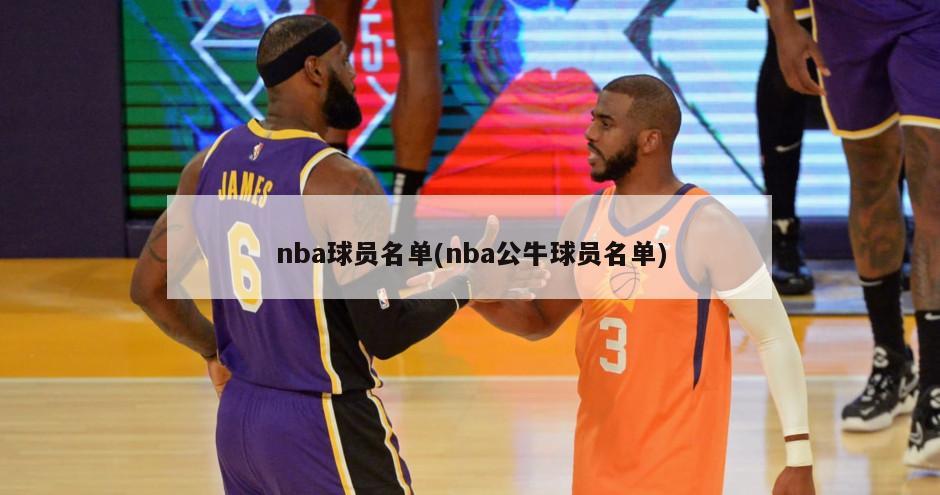 nba球员名单(nba公牛球员名单)